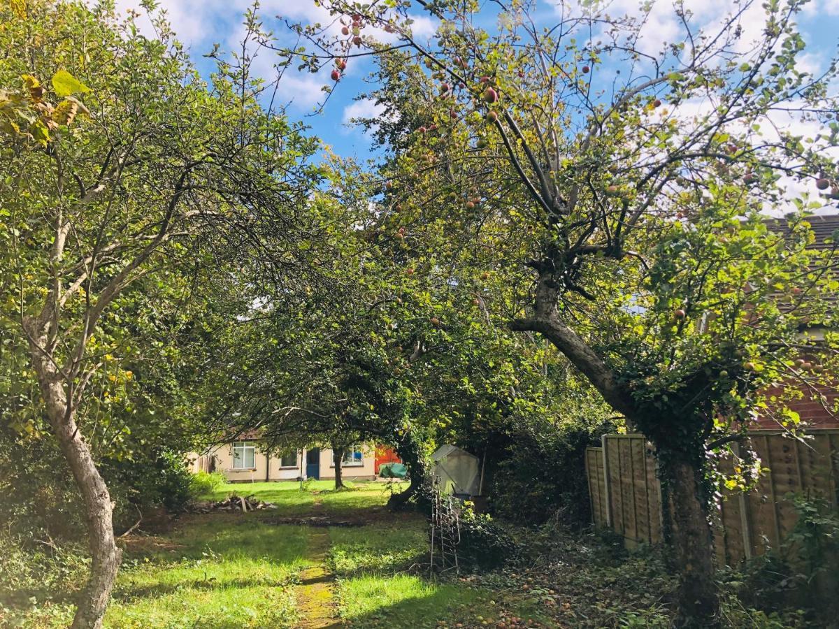 Amazing Quiet Garden House Near London Luton Airport Lejlighed Eksteriør billede